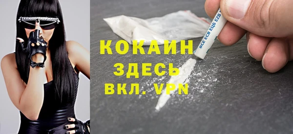 прущие грибы Абаза