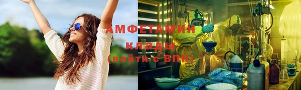 прущие грибы Абаза
