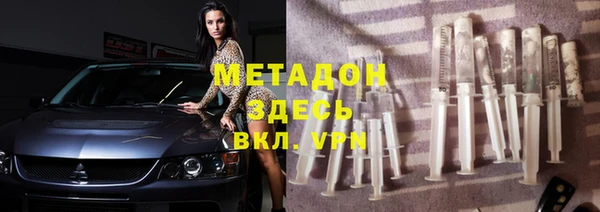 прущие грибы Абаза