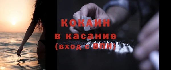 прущие грибы Абаза