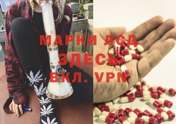 прущие грибы Абаза