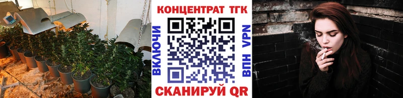 это телеграм  Ржев  ТГК концентрат  даркнет сайт 
