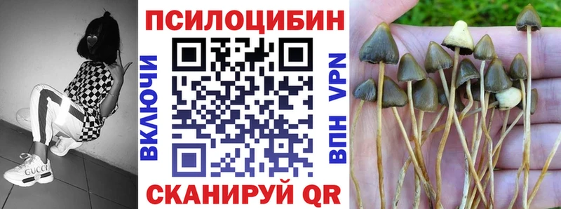 Галлюциногенные грибы Magic Shrooms  Ржев 